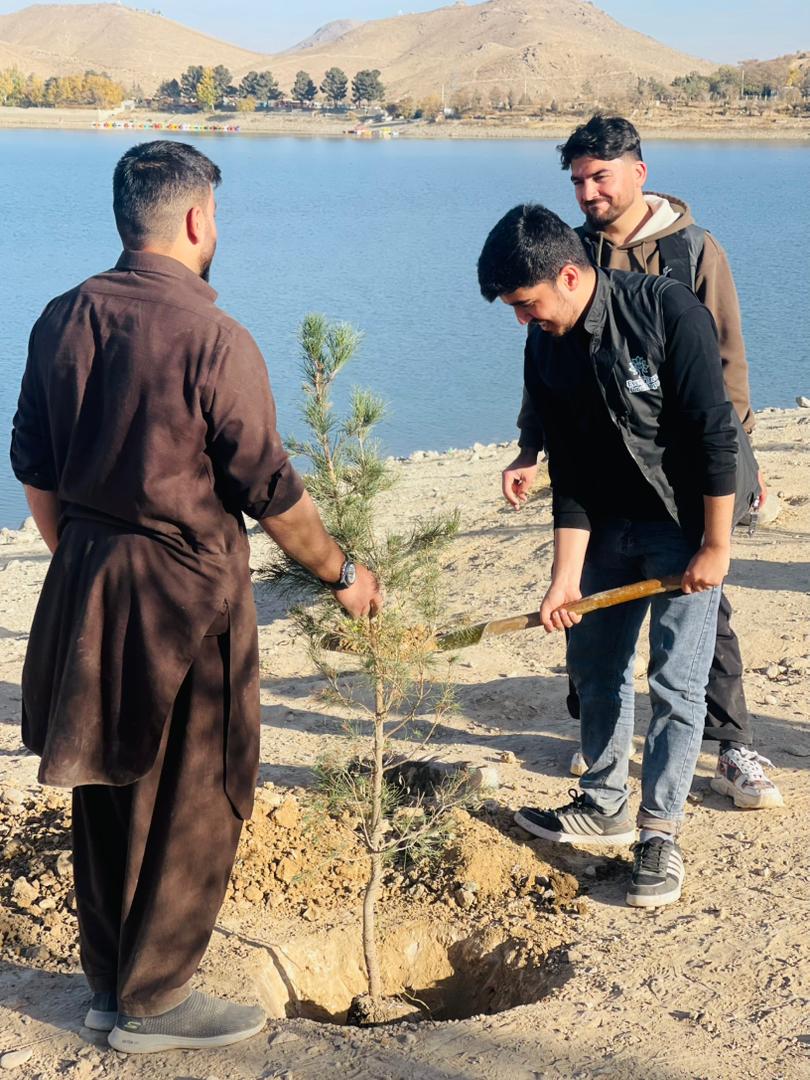 Planting by the lake