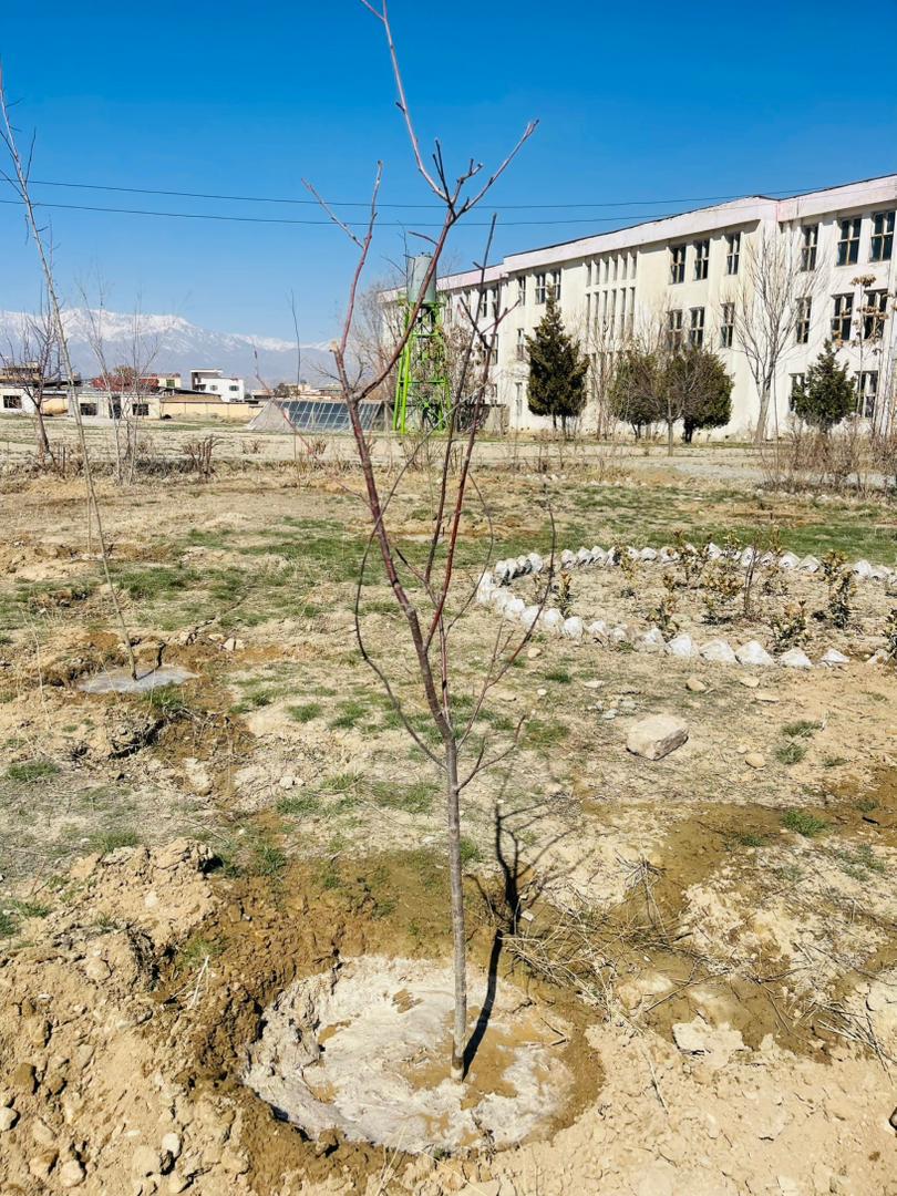 ETH-KBL-2026-012