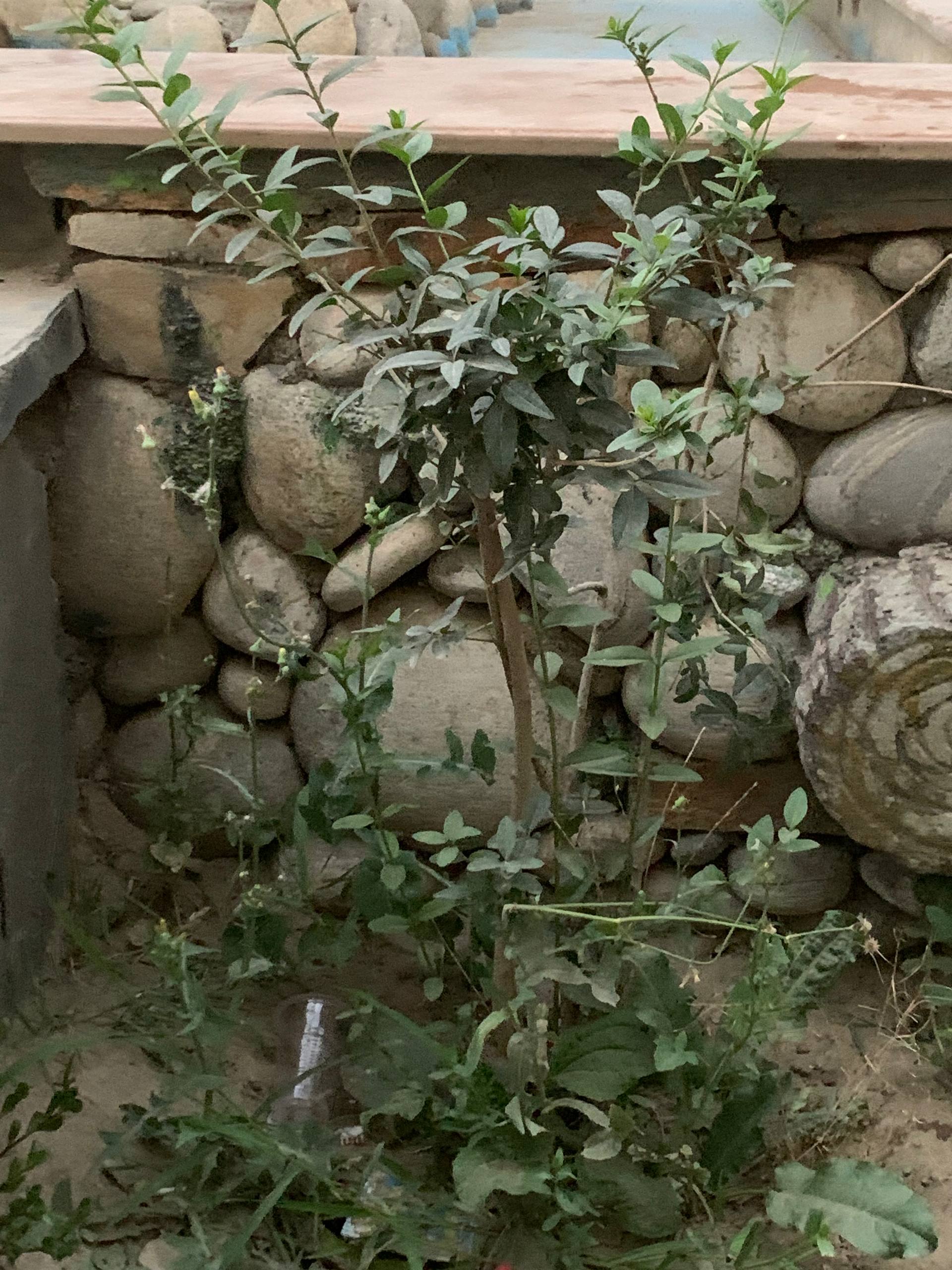 Maintenance photo